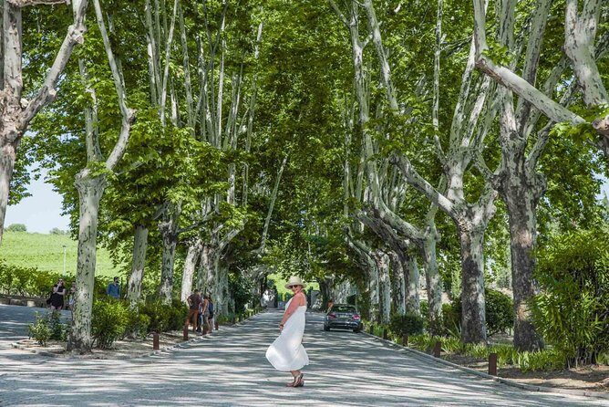 Authentic Douro Valley - small-Group Tour (Max 7) - Enter Porto’s Day Base at Statua de Vímara Peres