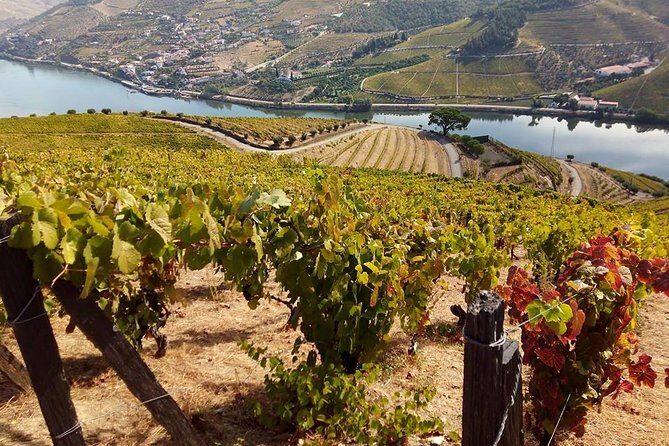 Authentic Douro Valley - small-Group Tour (Max 7) - Price and Value: Is $356.01 a Fair Deal?
