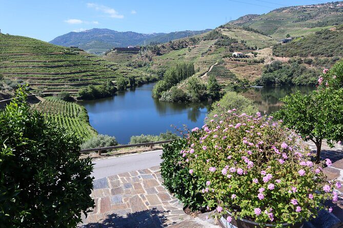 Authentic Small Group Douro Wine Tour with Lunch & River Cruise - Winery #1: Quinta do Tedo (Plus the Reality of a Shared Schedule)