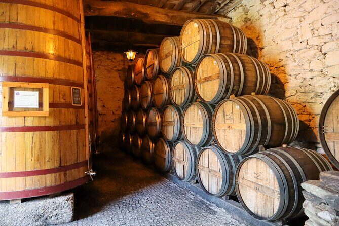 Authentic Small Group Douro Wine Tour with Lunch & River Cruise - The 1-Hour Rabelo Boat Cruise: The Douro From Water Level