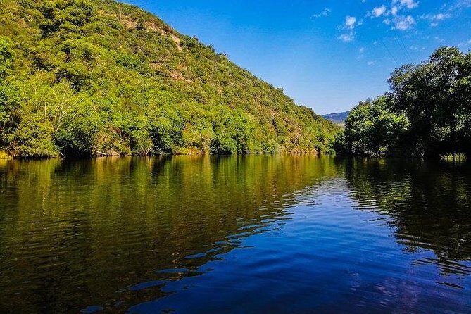 Best of Douro Valley Wine Full Day Private Tour - Key things I’d plan around