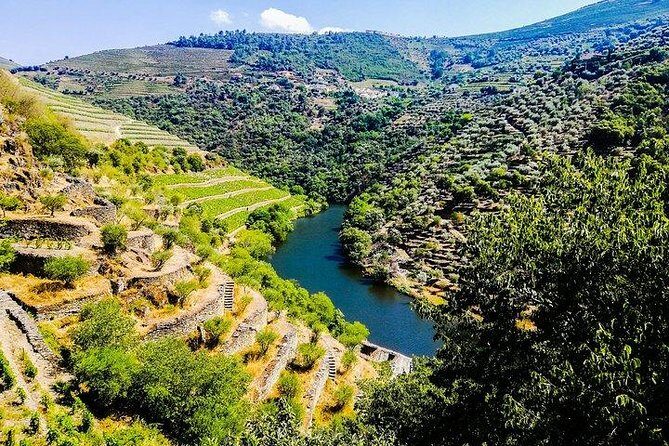Best of Douro Valley Wine Full Day Private Tour - Pickup and Pace With Bruno: What Changes When It’s Private