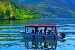 Boat tour 50min through the river Douro in Pinhão - Meeting Point at Douro Tours Cais Fluvial in Pinhão: Give Yourself Room