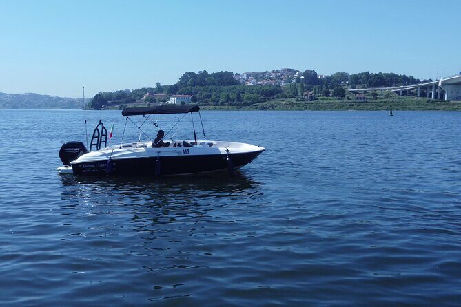 Boat Trip in Douro Porto - The Marina do Freixo start: the easiest kind of Porto morning
