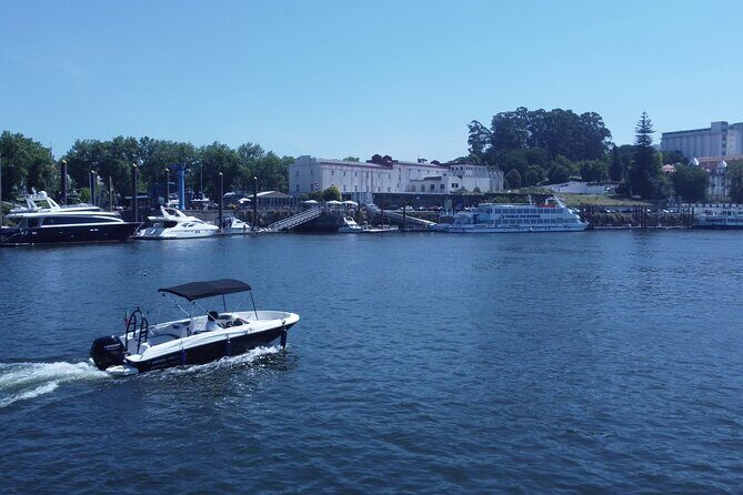 Boat Trip in Douro Porto - Value check: why $161.95 for up to 6 can be a smart move