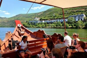 Complete Douro Valley Wine Tour with Lunch, Wine Tastings and River Cruise - The Douro Valley UNESCO scenery: where the views turn into context