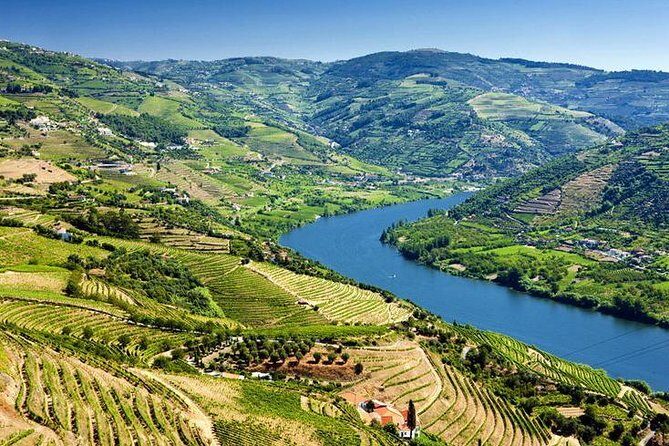 Complete Douro Valley Wine Tour with Lunch, Wine Tastings and River Cruise - After-lunch viewpoints and the Estrada Nacional 222: phone out, but eyes first