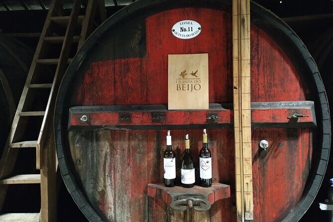 Complete Private Douro Valley Wine Tour - The Private Guide Advantage: When Jorge and Nuno Matter