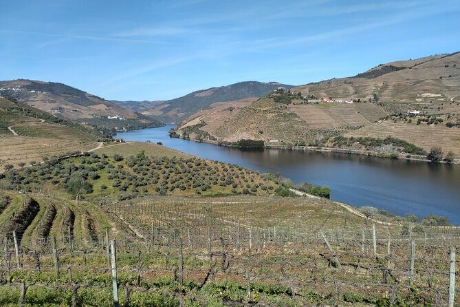 Complete Private Douro Valley Wine Tour - What’s Included: Alcohol Rules, Lunch, and Bottled Water