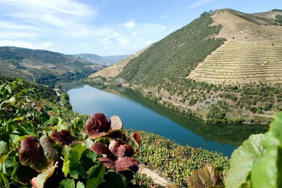Day Cruise from Porto to Pinhão with Breakfast and Lunch - Pinhão winery visit: tastings, shopping stops, and what to look for