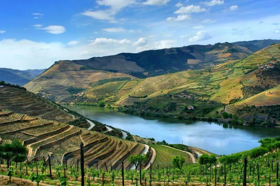 Day Cruise from Porto to Pinhão with Breakfast and Lunch - The boat experience: service, seating, and the small issues that matter
