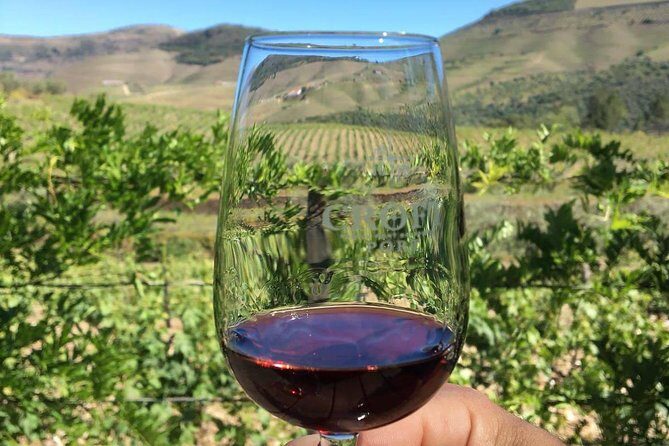 Day Trip Through the Enchanting Douro Valley #DuckSideOfPorto - Why This Douro Day Feels Less Like a Checklist
