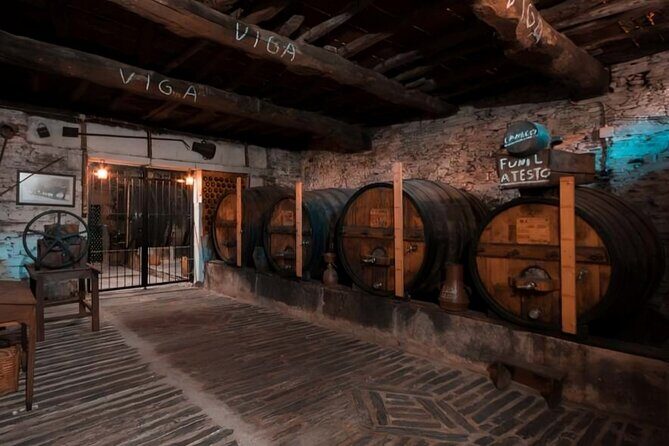 Douro Adventure - Tour 4x4 | Full Day Private Tour | All Included - Boat time on the Douro: why the water view changes everything