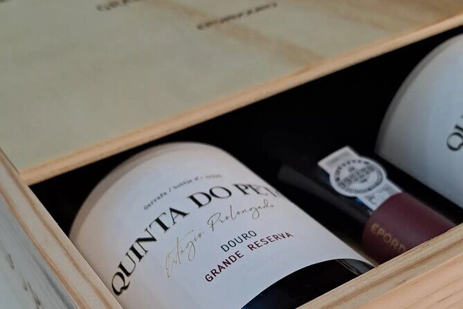 Douro and Port Wine Tasting in Vila Nova de Gaia - Solar dos Dragos tasting: a small producer moment
