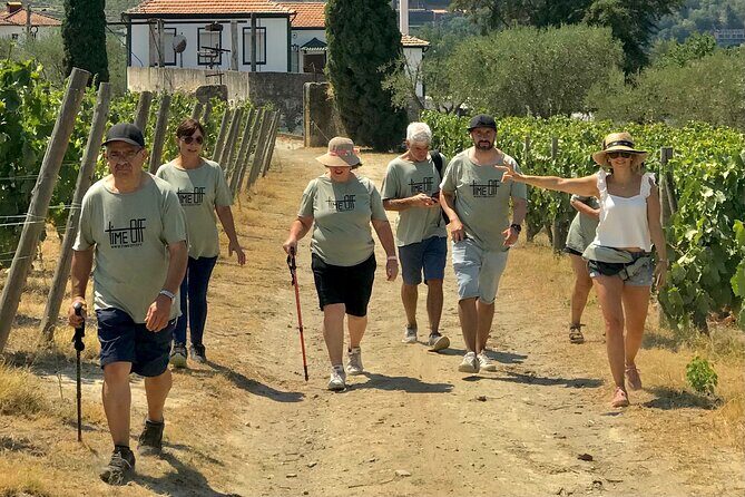 Douro: luxury walking tour with lunch at Quinta da Pacheca - Walking pace, fitness, and who should book