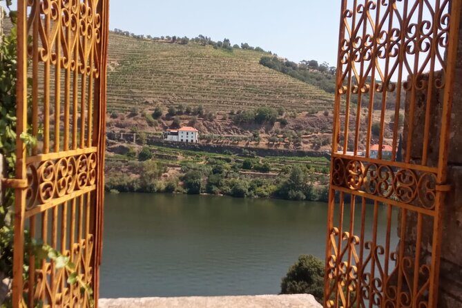 Douro: luxury walking tour with lunch at Quinta da Pacheca - Should you book this Quinta da Pacheca walking tour?