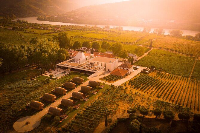 Douro: luxury walking tour with lunch at Quinta da Pacheca - FAQ