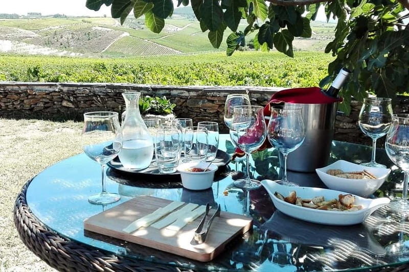 Douro Private Signature Tour – Customizable Experience - Alto-Douro on Your Schedule: What Private Really Gets You