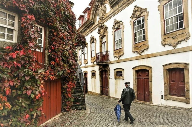 Douro Private Signature Tour – Customizable Experience - Lunch in the Douro: Rustic Regional vs Gourmet Wine-Paired Meal