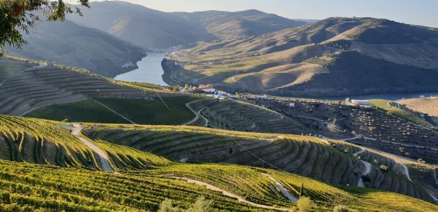 Douro Private Signature Tour – Customizable Experience - Boat Ride on the Douro: Shared Cruise or Private with Tasting