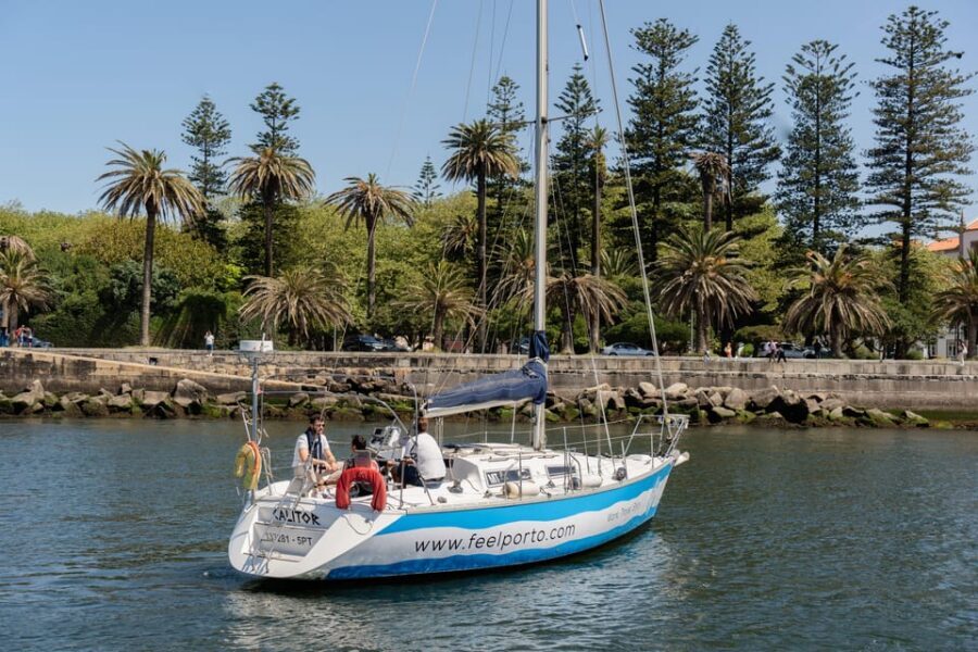 Douro River Cruise with Cheese & Tonic Porto in a Sailboat - São Pedro da Afurada: The River-Facing Neighborhood Feel