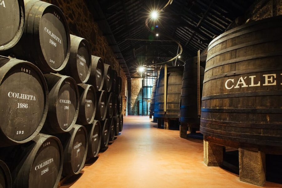 Douro River Cruise with Port Tasting and Lunch - Practical tips that help you avoid small headaches