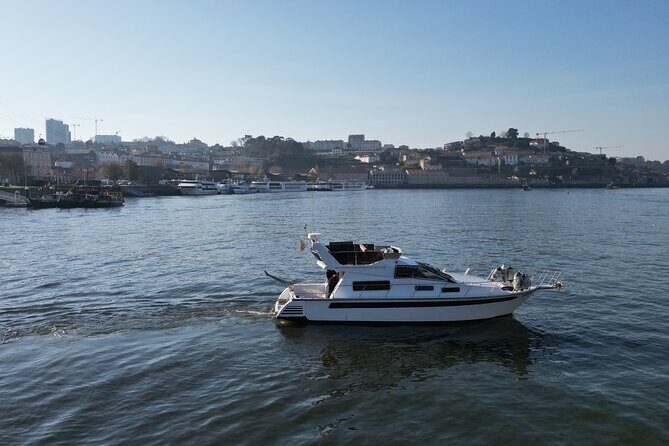 Douro River Tour - The Lighthouse Stop: Seeing the Edge of Portugal From the Waterline