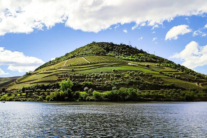 Douro | Roots & History - Tour with a local - Key highlights
