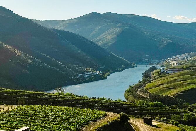 Douro | Roots & History - Tour with a local - First Quinta in Pinhão: your first 4-wine tasting
