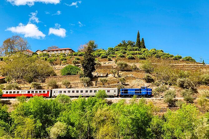 Douro | Roots & History - Tour with a local - The N222 scenic road drive and the Douro wine region story