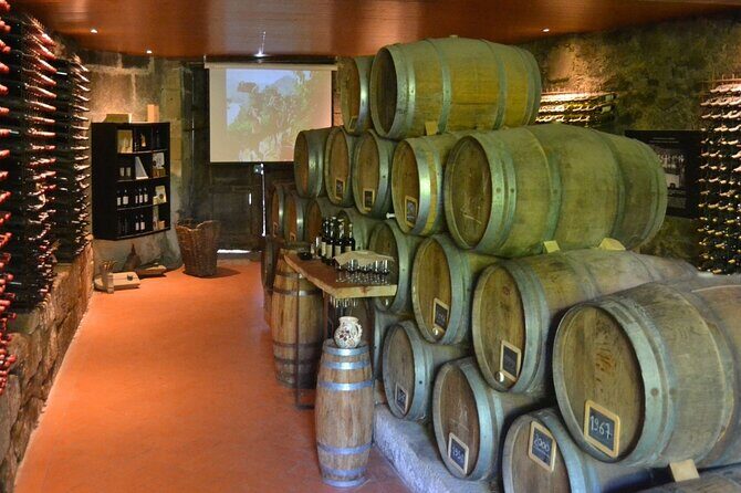 Douro Three Winery Small Group Tour with Lunch and Tastings - Key Highlights You’ll Actually Feel