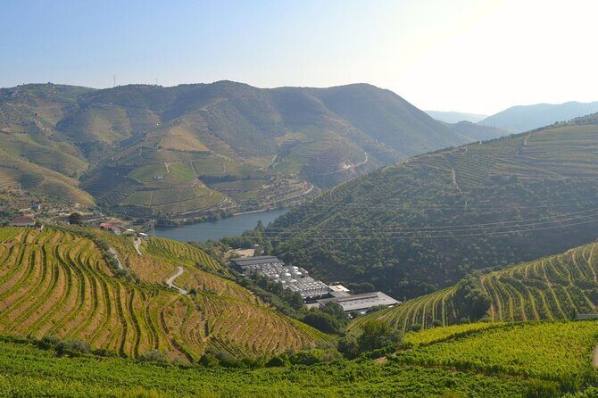 Douro Three Winery Small Group Tour with Lunch and Tastings - Ponte Pedonal Metalica de Peso da Régua and N222 Views