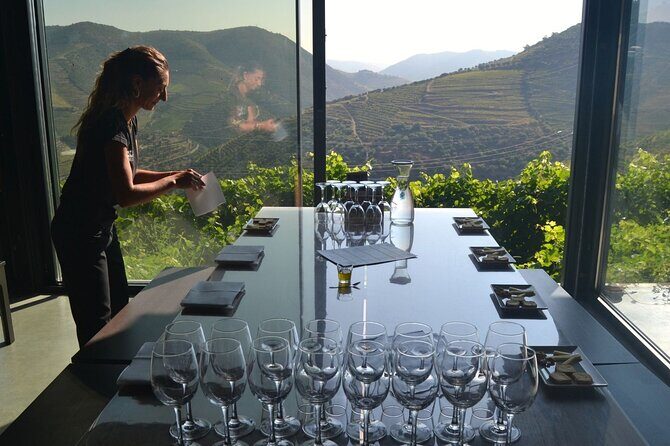 Douro Three Winery Small Group Tour with Lunch and Tastings - Price and Logistics: Is It a Good Fit for You?