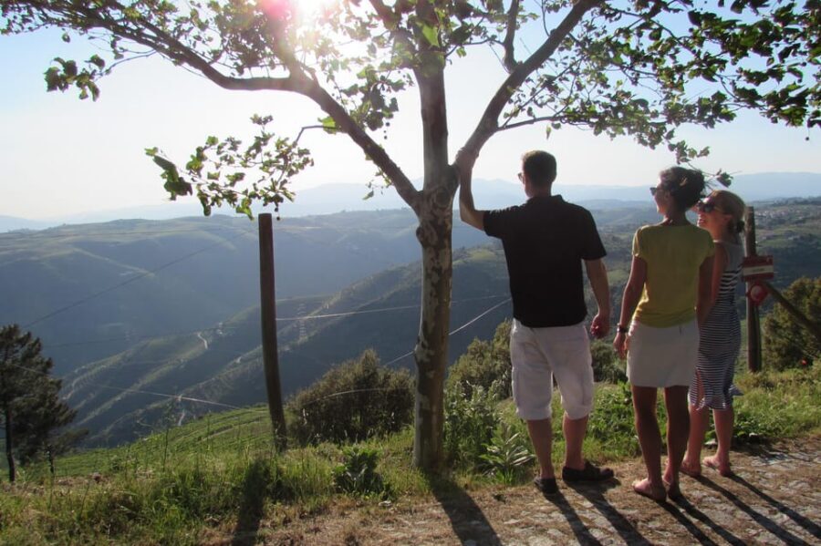 Douro Tour with Wine Tasting and Visit to Lamego and Pinhão - Who This Tour Is Best For (and Who Might Want Another Option)