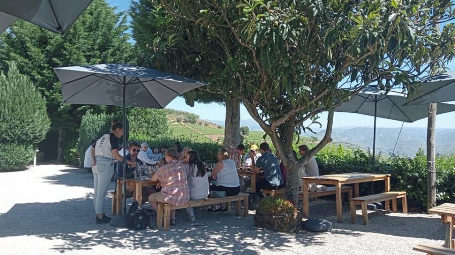 Douro Tour with Wine Tasting and Visit to Lamego and Pinhão - Scenic Ride to Pinhão: The Valley Shows Its Work