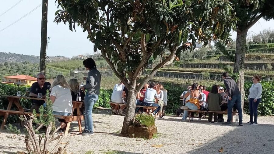 Douro Tour with Wine Tasting and Visit to Lamego and Pinhão - Wine Tasting at a Family Vineyard: Douro and Port in One Hour