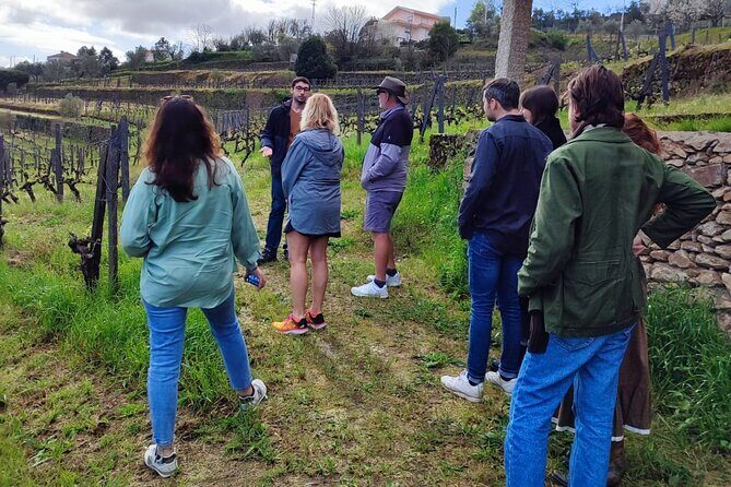 Douro Tour with Wine Tasting, River Cruise and Visit to Lamego - Start at Igreja da Lapa, meet at 8:30, and plan your morning