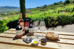 Douro Tour with Wine Tasting, River Cruise and Visit to Lamego - Pinhão on the Rabelo: what the river cruise really gives you