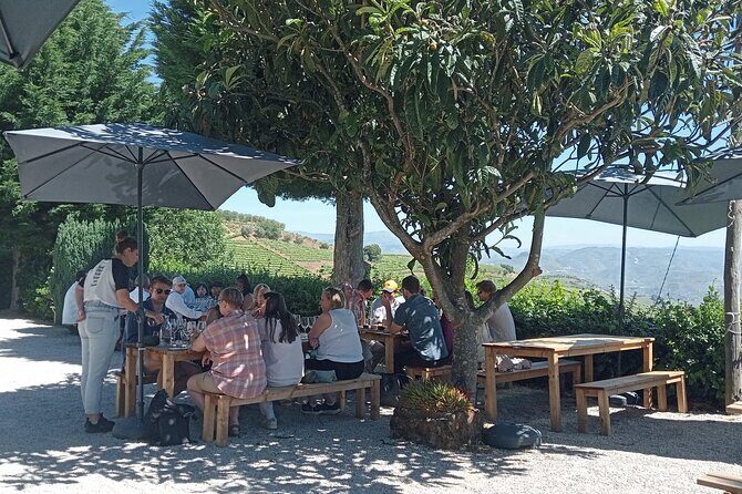 Douro Tour with Wine Tasting, River Cruise and Visit to Lamego - Free time in Lamego: lunch and a historic center you can explore on foot