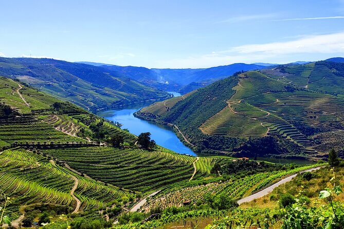 DOURO TOURS - Premium Tour - Where your Douro day really starts: Pinhão, meeting point, and timing