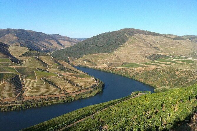DOURO TOURS - Premium Tour - Should you book the Douro Tours Premium trip from Pinhão?