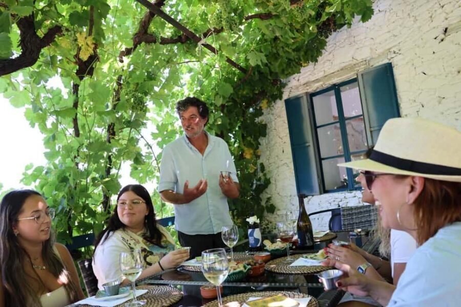 Douro valley: 10 km hike in the Valley - Key highlights and why they matter