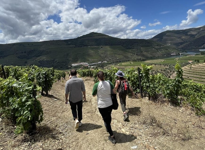 Douro valley: 10 km hike in the Valley - Pinhão: fairy-tale streets, wine time, and optional boat views