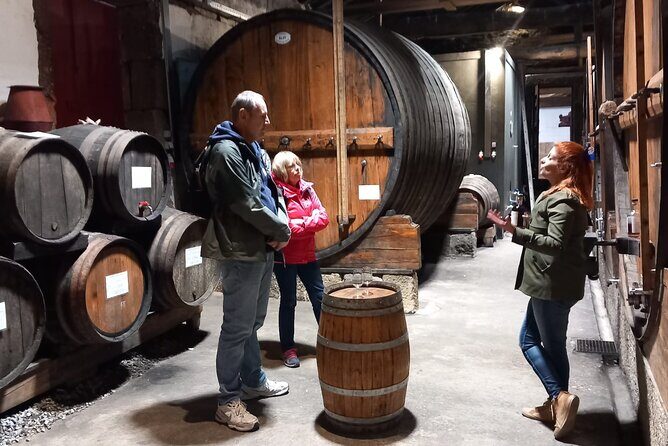 DOURO VALLEY & AMARANTE: Private Tour, Wine Tour and Cruise - Lunch in the Douro: Your Choice, Your Timing