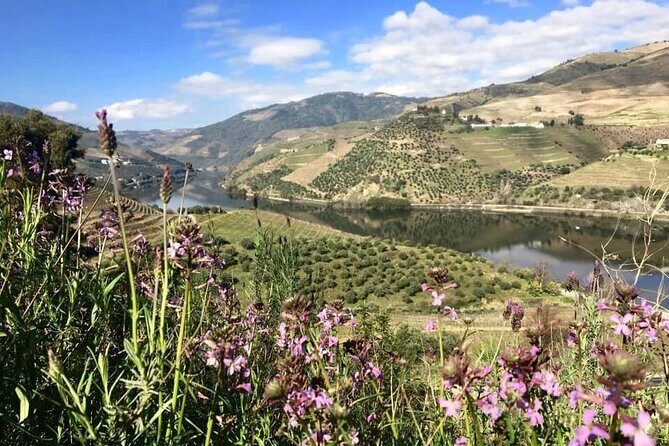 Douro Valley and Régua Panoramic Cruise with Lunch from Porto - Barragem do Carrapatelo lock: The big vertical moment