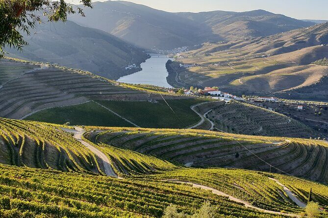 Douro Valley Best-Of Private Tour – Fully Customizable Experience - Provesende: The Wine Lunch Stop That Can Make or Break the Day
