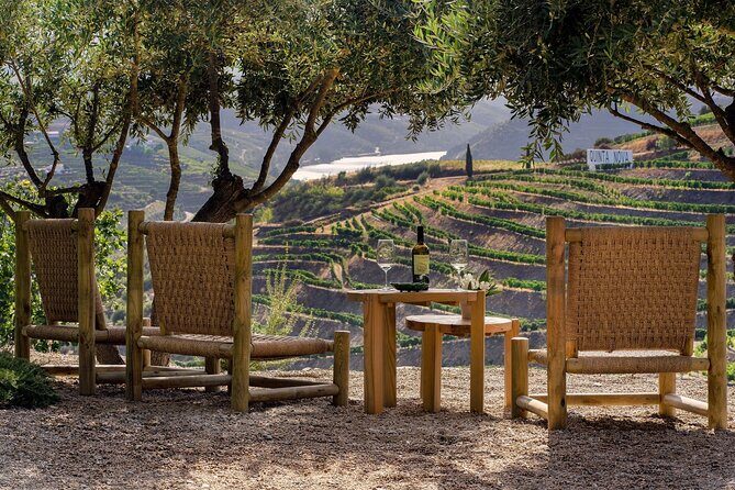 Douro Valley Best-Of Private Tour – Fully Customizable Experience - Sabrosa Finish: Chill & Wine With Old Port Options
