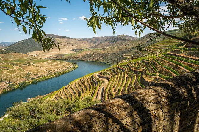Douro Valley Best-Of Private Tour – Fully Customizable Experience - Add-Ons: Boat Trips, Extra Tastings, and Lunch Levels