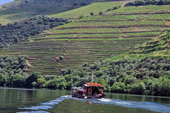 Douro Valley-Expert Guide-Boat-Lunch-Tastings-Offer wine bottle - Key highlights worth marking on your map