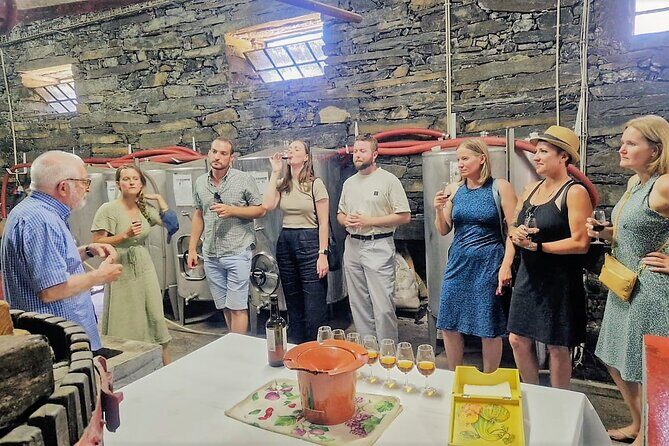 Douro Valley-Expert Guide-Boat-Lunch-Tastings-Offer wine bottle - The viewpoint stop: Port-wine stories with real photo time
